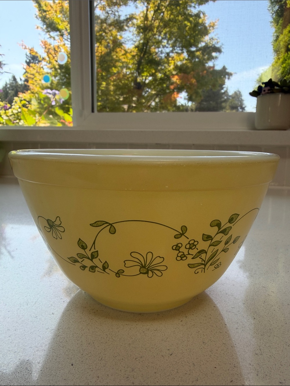 Pyrex Vintage Shenandoah